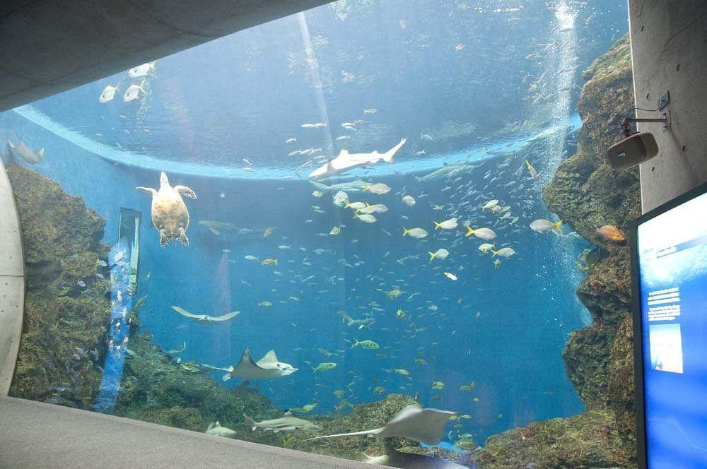 Kamogawa Sea World Hotel Exterior foto
