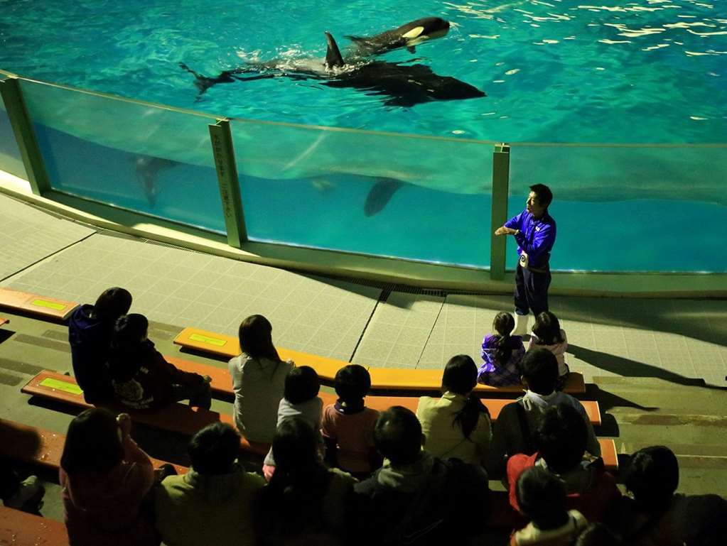 Kamogawa Sea World Hotel Instalações foto